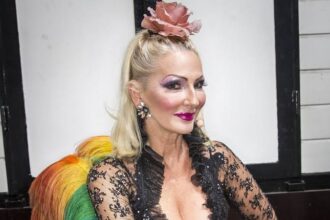 desiree nick vermögen